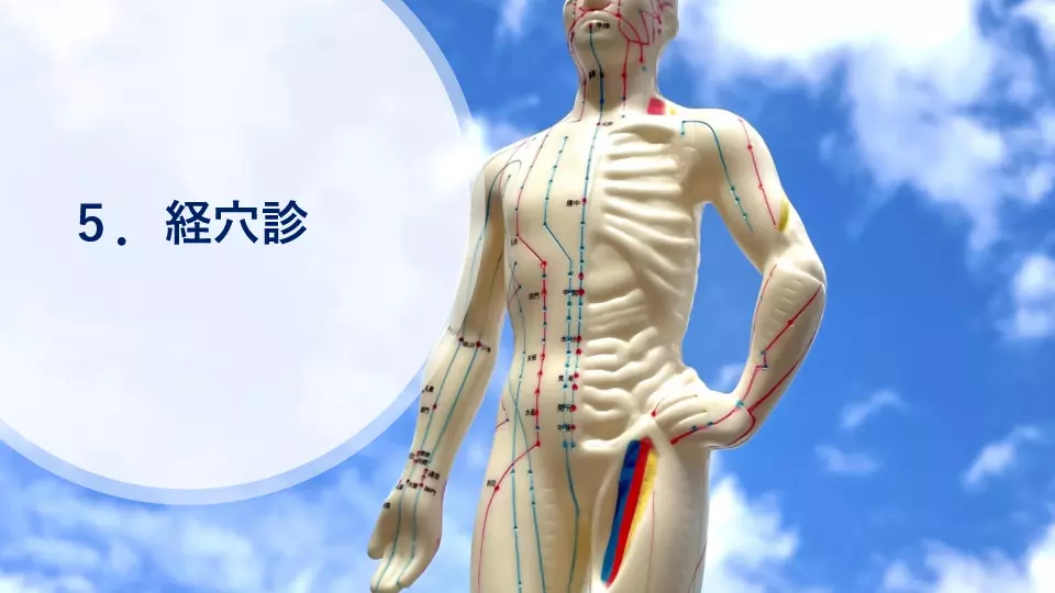 東洋医学へのいざない 診察編⑨ これまでにやった診察法の総まとめ